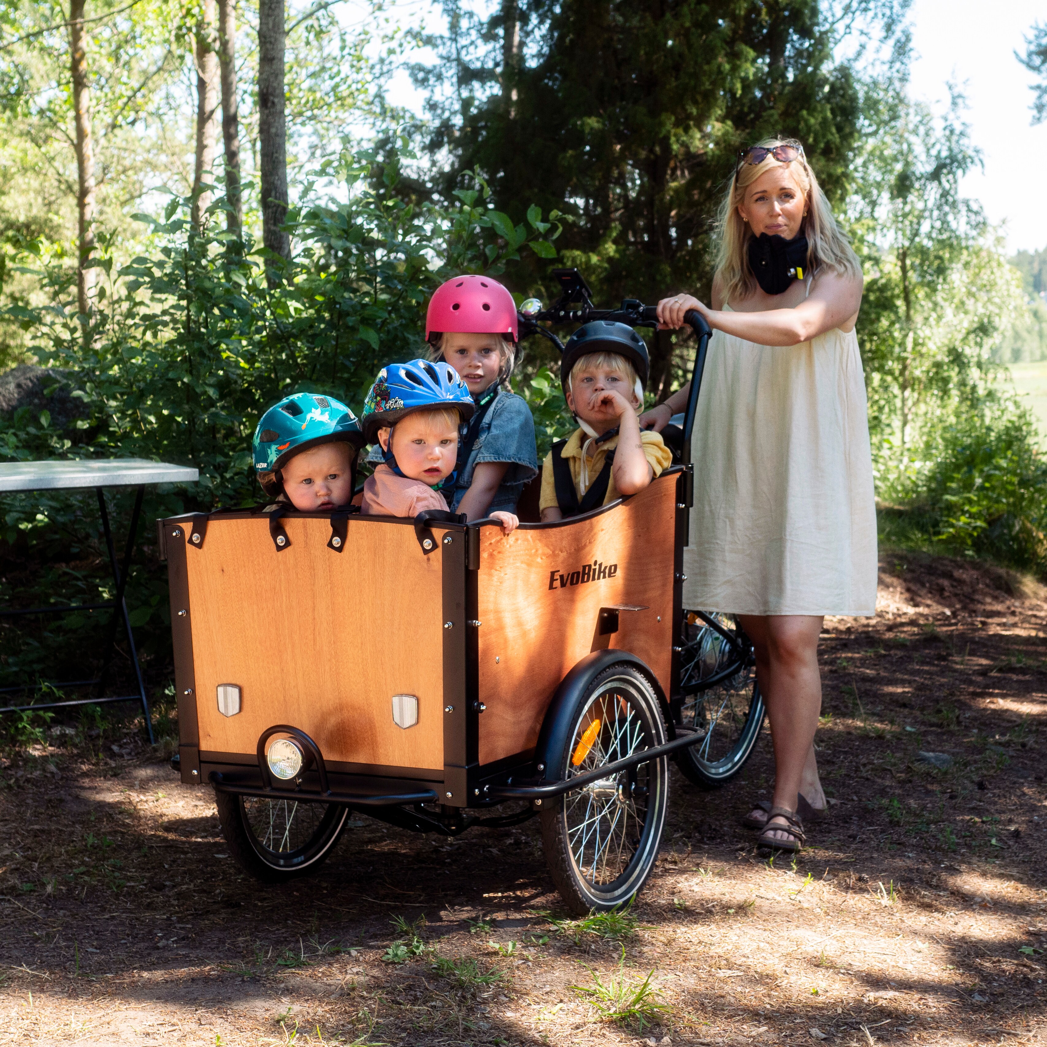 Lastesykkel EvoBike Cargo Classic