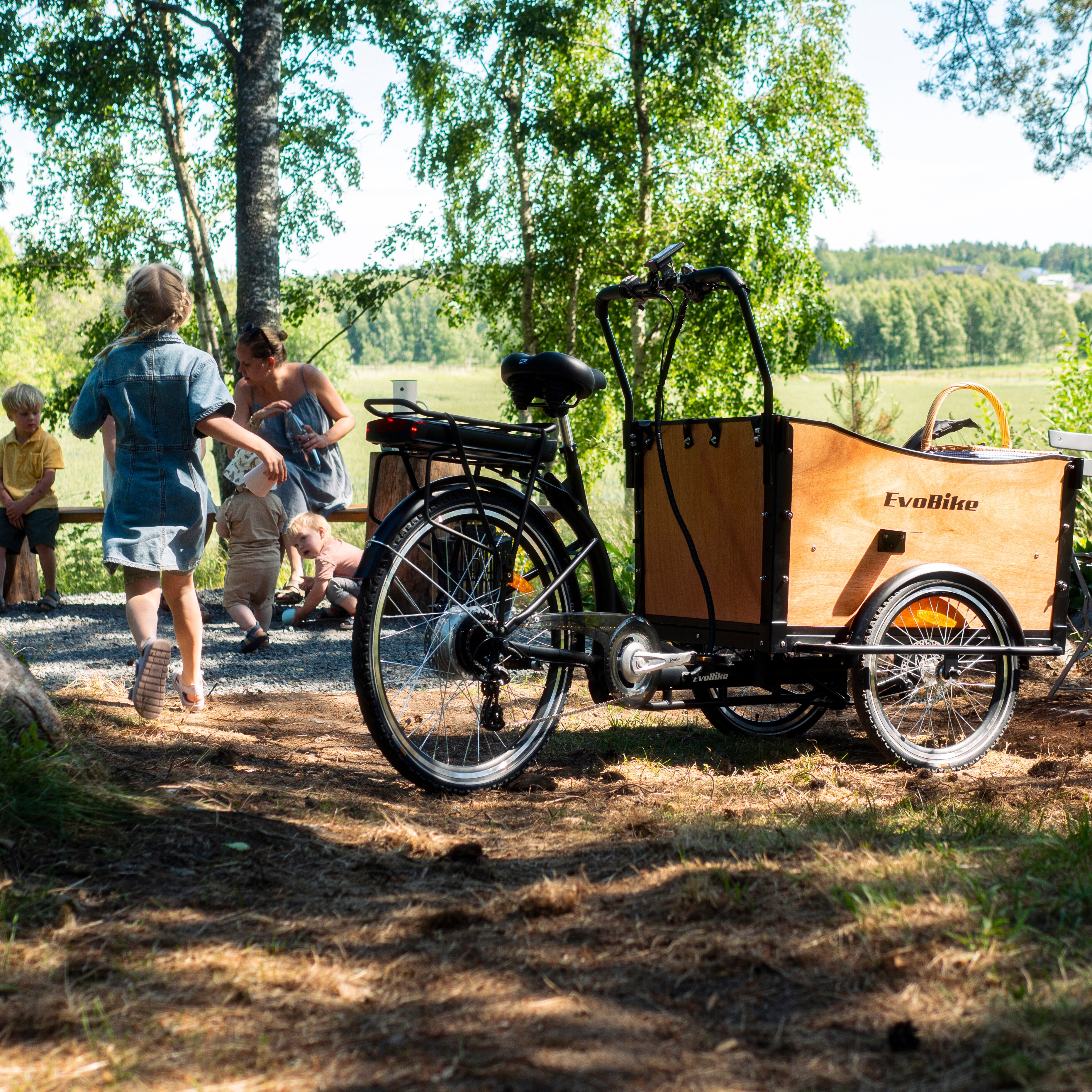 Lastesykkel EvoBike Cargo Classic